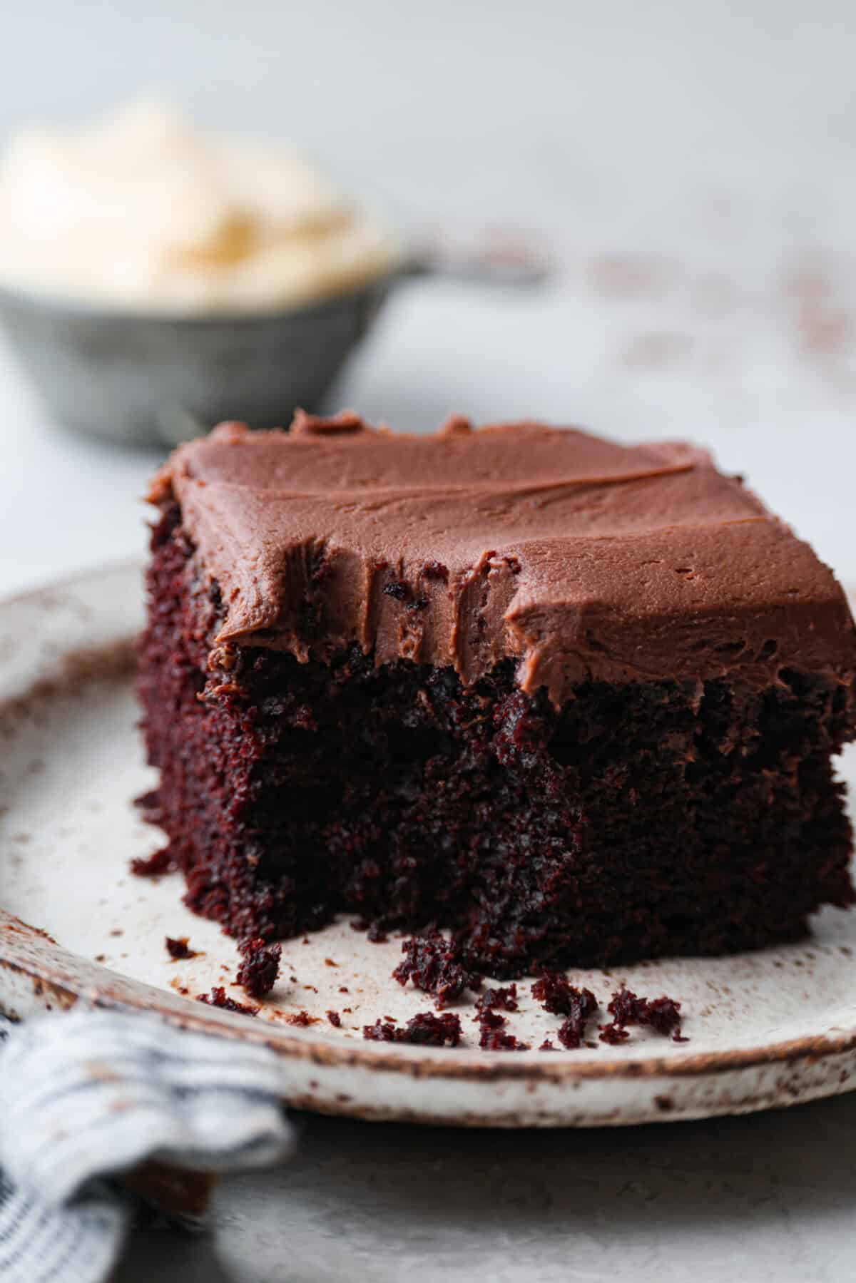 Chocolate Mayonnaise Cake is a rich, moist, and decadent dessert that’s super easy to make! The mayonnaise adds extra moisture and creates a soft, tender crumb. Whether for a special occasion or just because it's sure to impress! Angle shot of a plated piece of chocolate mayonnaise cake with a bite taken out.